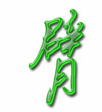 手臂“臂”字正确笔顺详解 3