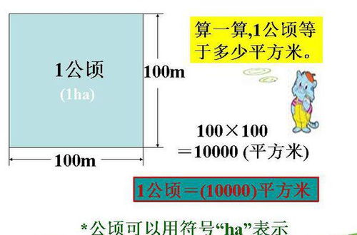 一公顷与亩、亩与平方米的换算关系是多少？ 1