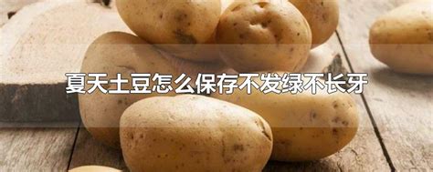 土豆如何保存才能不发芽不变绿？ 5