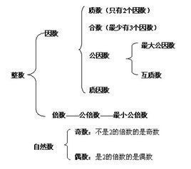 揭秘：30的所有因数是什么？ 2