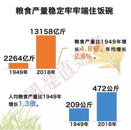 中国人均粮食拥有量是多少斤？ 2