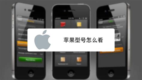 如何辨别翻新iPhone6与山寨机：实用鉴别技巧 2