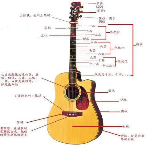 零基础入门吉他教学教程，轻松学会弹吉他 2