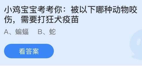 被哪种动物咬伤后必须接种狂犬疫苗？蚂蚁庄园9.28揭秘！ 2