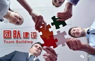 打造卓越团队：深入解析团队建设的核心要素 2