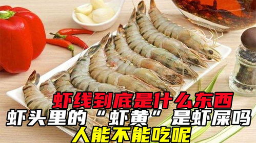 揭秘：虾的美食世界，它们究竟钟爱哪些佳肴？ 1