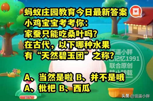 贵州金沙县：蚂蚁新村的美食名片概览 3