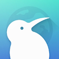 Kiwi Browser浏览器 v1.0