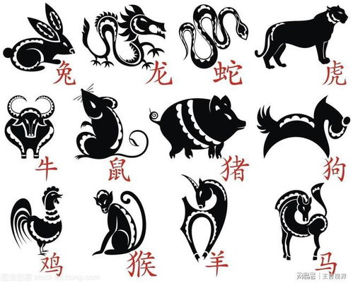 2023年，你的生肖运程大揭秘：猜猜看你属什么？ 2