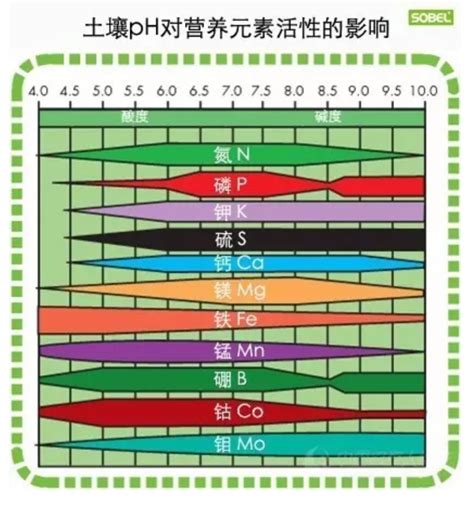 轻松掌握：如何有效调节土壤酸碱度 2