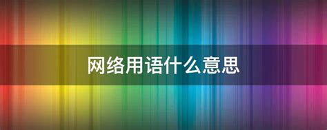 ZYX网络用语的含义是什么 4