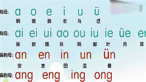揭秘：“一只”的拼音拼读奥秘！ 2