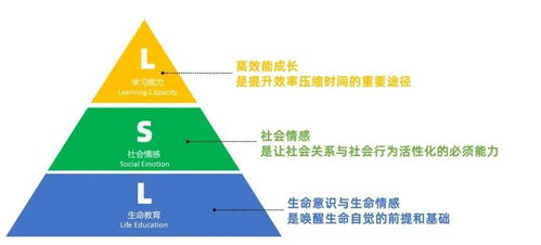 揭秘“LSL”的真正含义，你了解吗？ 3