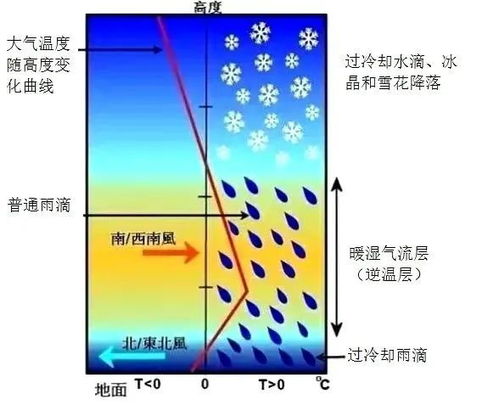 揭秘冻雨奇观：探索其神秘成因 1