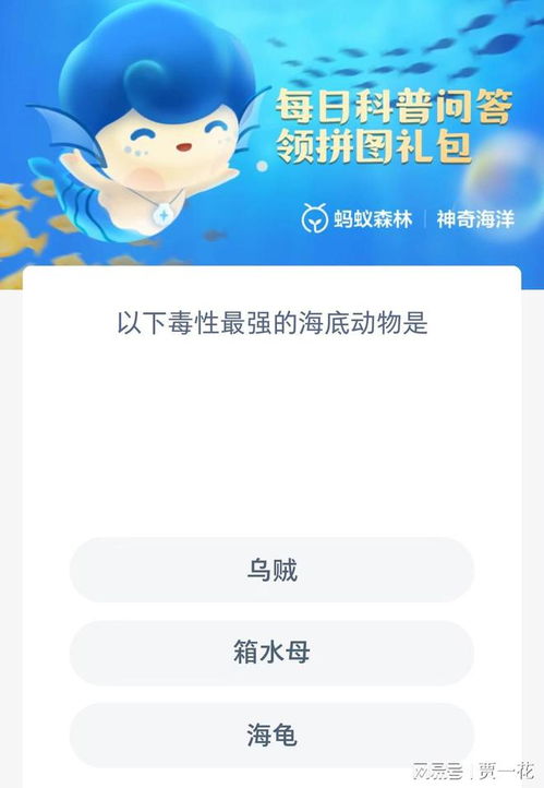 支付宝相关知识：哪种海洋动物会进行夏眠？ 1