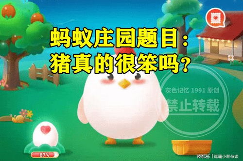 揭秘蚂蚁庄园8月11日答案：哪个成语才是正确使用？ 2