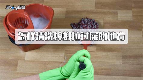 家里如何有效杀灭蟑螂？ 2
