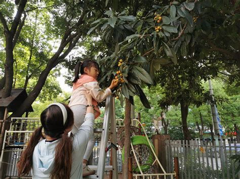 揭秘“立夏”节气中的“夏”之含义 2