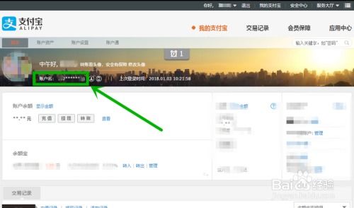 轻松掌握：如何查看你的支付宝账号 3