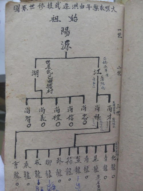 揭秘家谱编纂：从起步到完成的全面流程指南 3