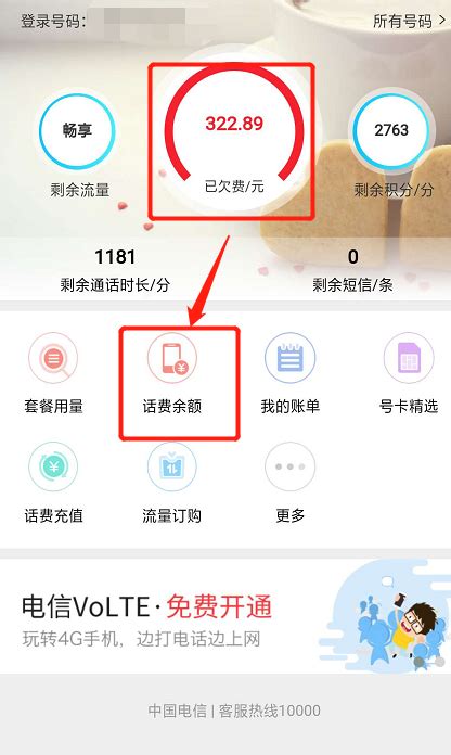 如何查询电信号码的话费和剩余流量？ 3