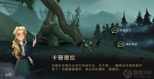 哈利波特魔法觉醒：揭秘最令人诟病的几大瑕疵 2