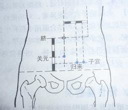 婴儿世界 —— 探索子宫穴的奥秘 4