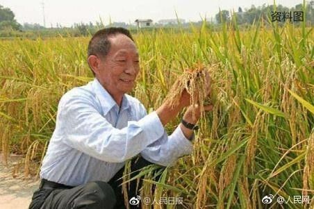 揭秘：袁隆平杂交稻的广泛应用之地 2