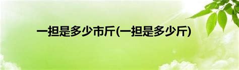 一担等于多少斤？快速换算指南！ 2
