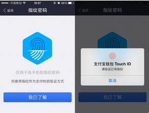轻松学会：支付宝指纹刷脸支付设置教程 2