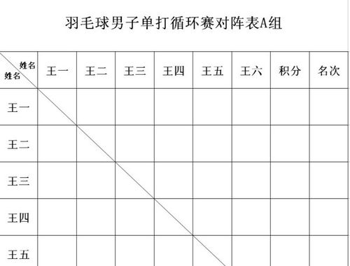 羽毛球比赛规则快速概览 3