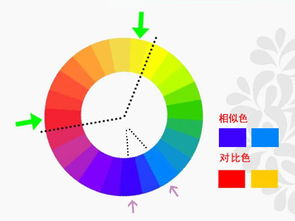 24色相环内对比色与互补色的解析 4