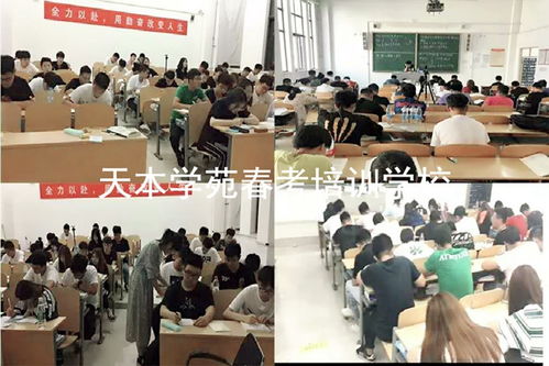 职业学校高考班可报考的大学范围 3