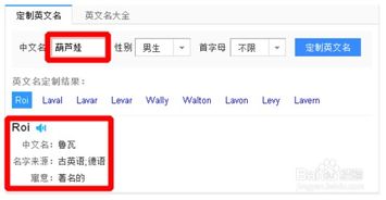 将中文名转化为英文名的实用方法 2