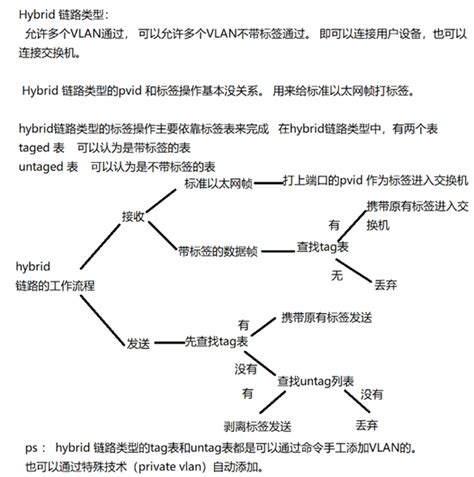 揭秘：Tagged与Untagged的微妙差异！ 3