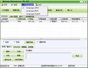 轻松攻克！网络人远程控制软件汉字输入难题解决方案 1