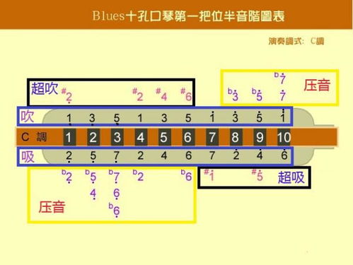 10孔口琴吹奏方法图解指南 1