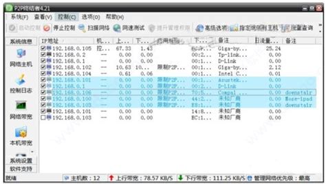 P2P终结者高级权限版：全面解锁使用指南 2