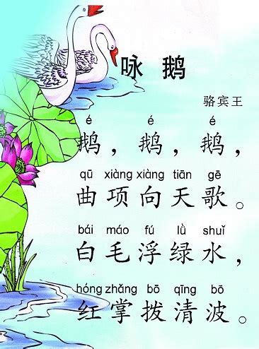 骆宾王《咏鹅》: “曲项向天歌”中的“曲”有何深意？ 1