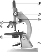 掌握显微镜的正确使用方法，轻松探索微观世界 3