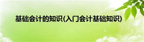 会计新手必看：轻松入门会计知识基础教程 2