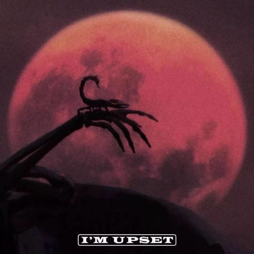 探究'upset'一词的含义 1