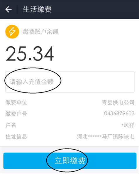 轻松掌握：支付宝缴纳电费全攻略 2