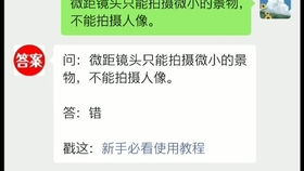 怎么查看关于智慧树的信息？ 4