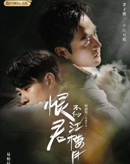探寻原著之谜：'恨君不似江楼月'究竟源自何处？ 2