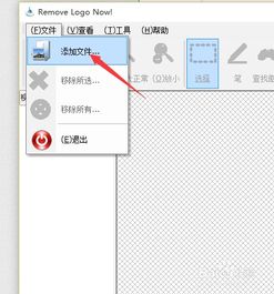 瞬间去除Logo：Remove Logo Now高效使用指南 2