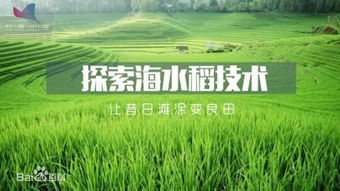 揭秘！盐碱地上的生存强者：哪种植物能在蚂蚁庄园中茁壮成长？ 2