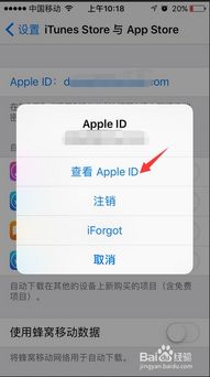 解决苹果App Store无法连接的问题 1