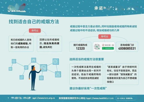 世界卫生日、无烟日、人口日、环保日及国际和平日 3