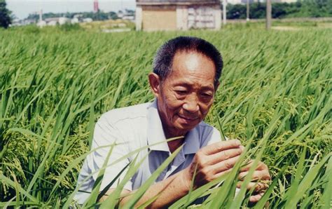 揭秘！中国杂交水稻之父袁隆平的健康状况及所患疾病 4